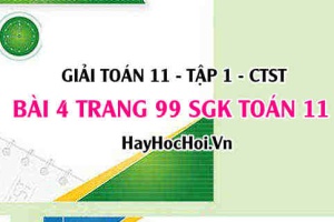 Giải bài 4 trang 99 Toán 11 tập 1 SGK Chân trời sáng tạo